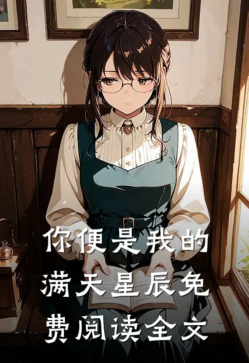 你便是我的满天星辰免费阅读全文