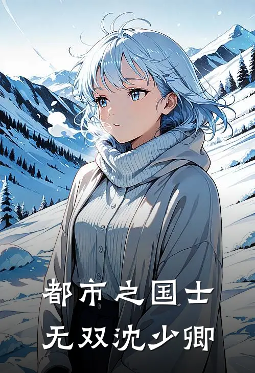 都市之国士无双沈少卿