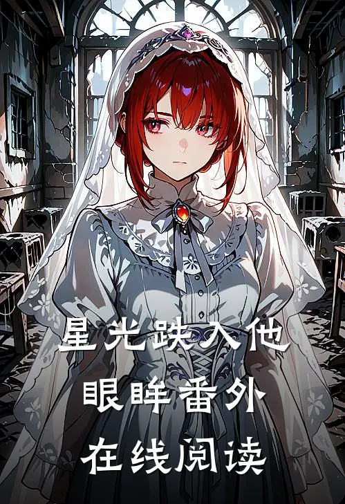 星光跌入他眼眸番外在线阅读