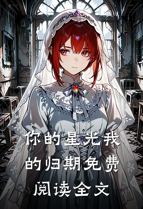 你的星光我的归期免费阅读全文