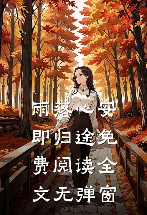 雨落心安即归途免费阅读全文无弹窗