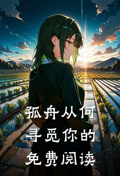 孤舟从何寻觅你的免费阅读