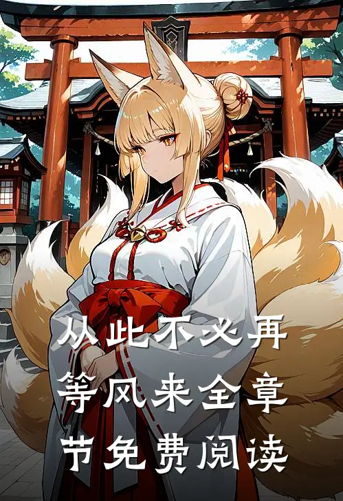 从此不必再等风来全章节免费阅读