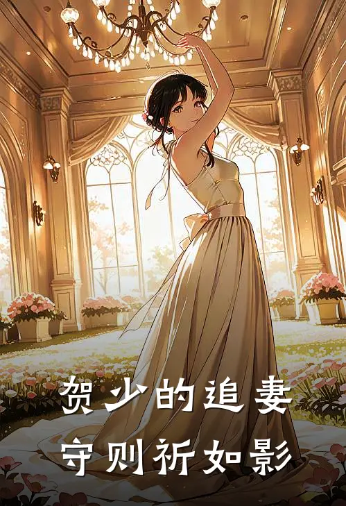 贺少的追妻守则祈如影