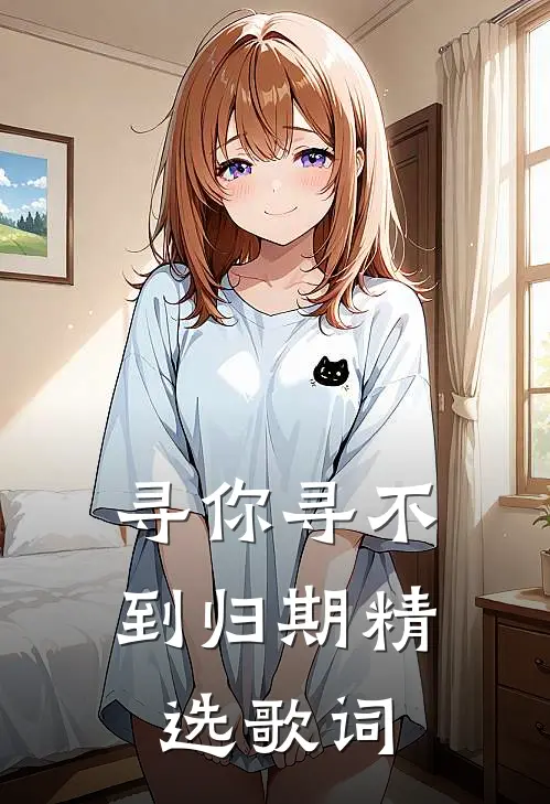 寻你寻不到归期精选歌词