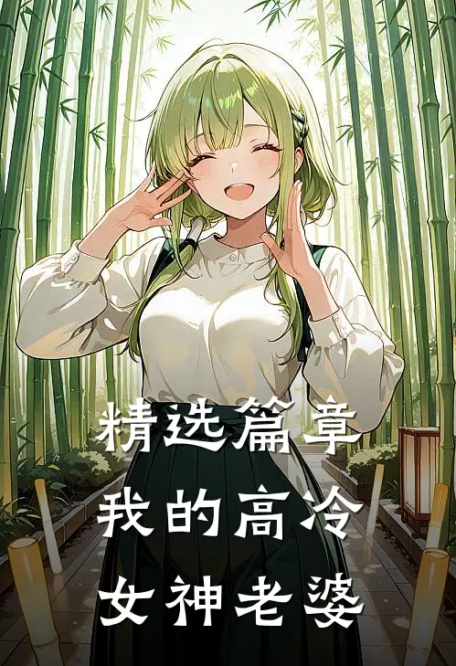 精选篇章我的高冷女神老婆