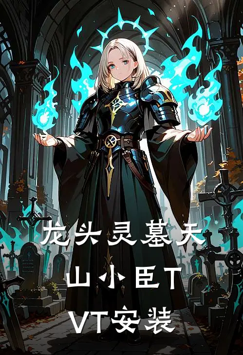 龙头灵墓天山小臣TVT安装
