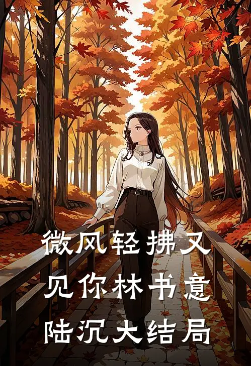 微风轻拂又见你林书意陆沉大结局