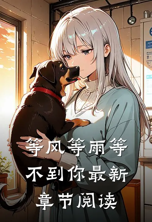 等风等雨等不到你最新章节阅读