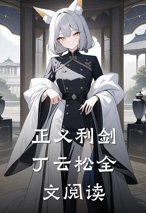 正义利剑丁云松全文阅读