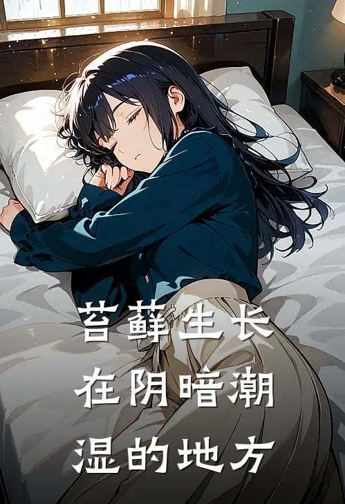 苔藓生长在阴暗潮湿的地方