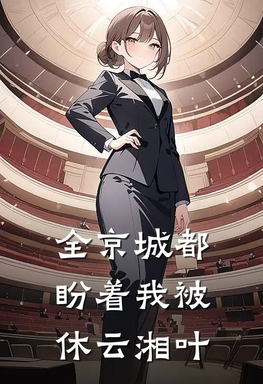 全京城都盼着我被休云湘叶