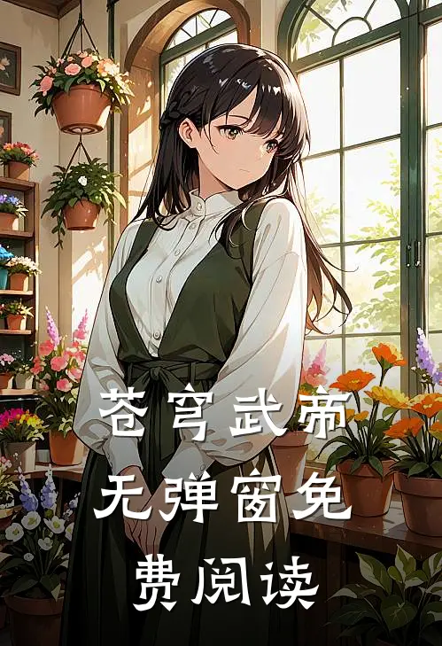 苍穹武帝无弹窗免费阅读