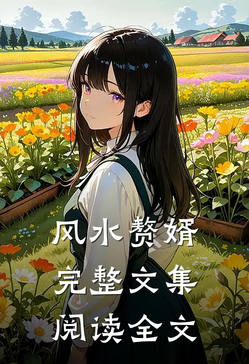 风水赘婿完整文集阅读全文
