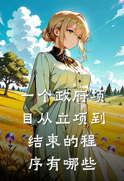 一个政府项目从立项到结束的程序有哪些