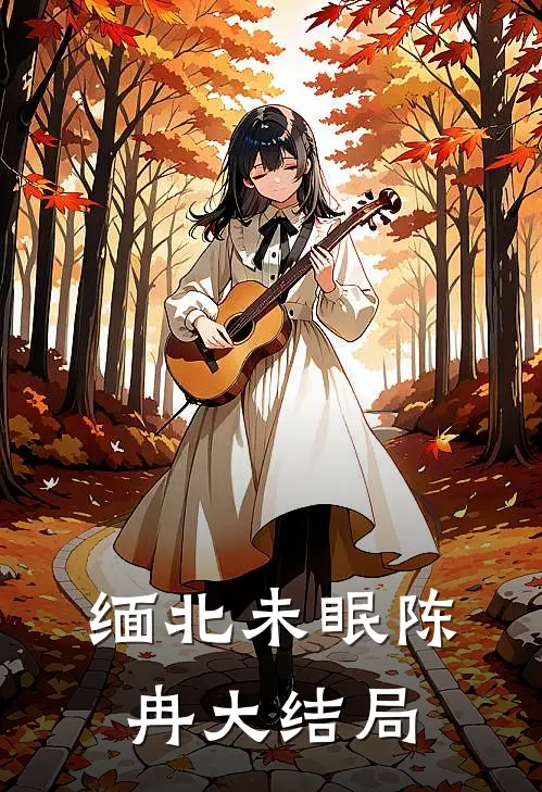 缅北未眠陈冉大结局