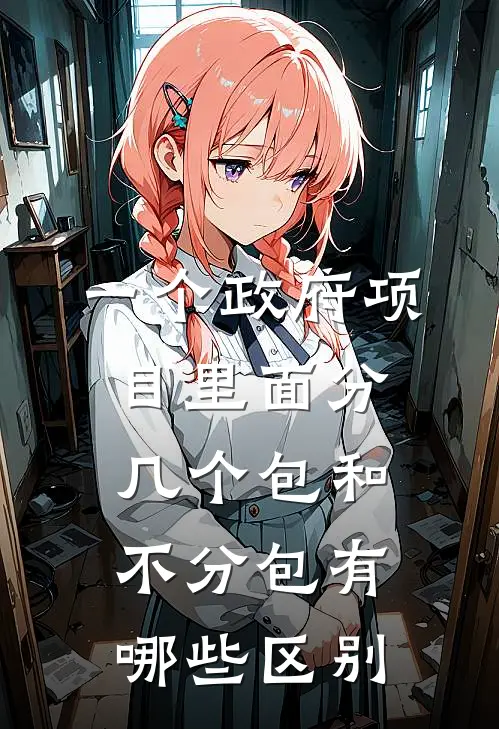 一个政府项目里面分几个包和不分包有哪些区别