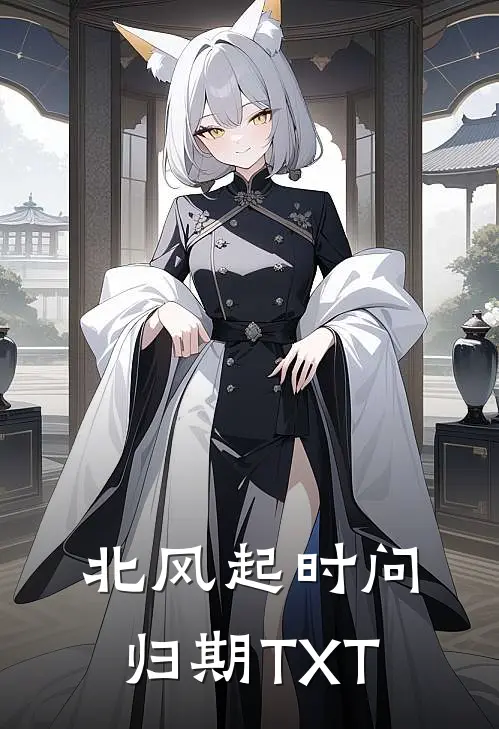 北风起时问归期TXT