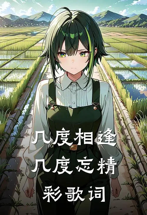 几度相逢几度忘精彩歌词