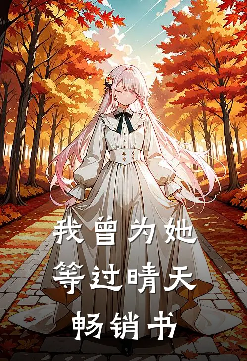 我曾为她等过晴天畅销书