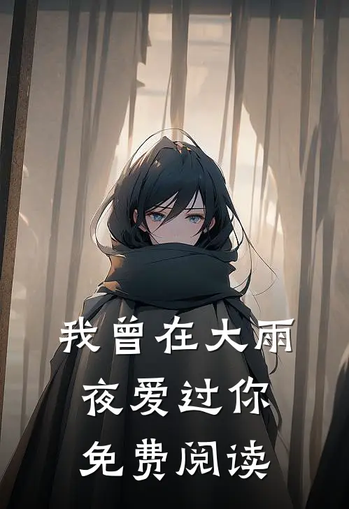 我曾在大雨夜爱过你免费阅读