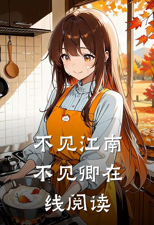 不见江南不见卿在线阅读