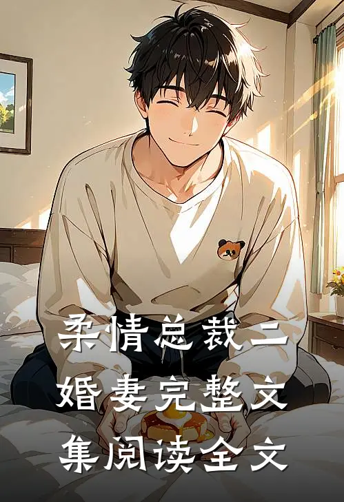 柔情总裁二婚妻完整文集阅读全文