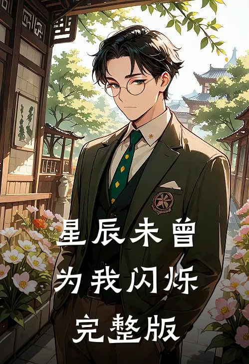 星辰未曾为我闪烁完整版
