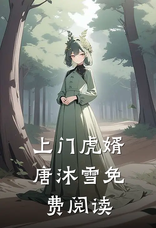 上门虎婿唐沐雪免费阅读