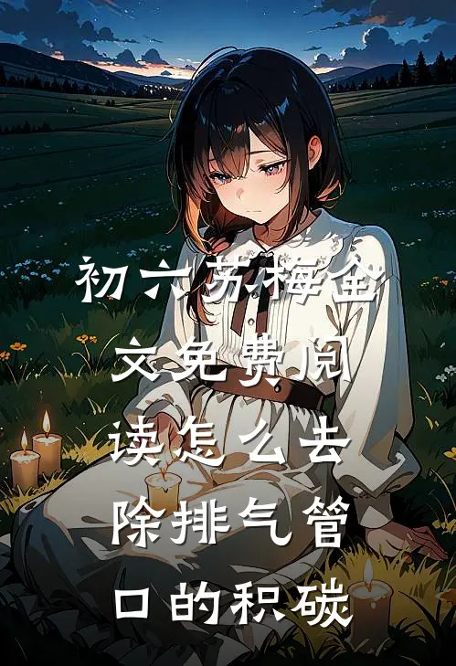 初六苏梅全文免费阅读怎么去除排气管口的积碳