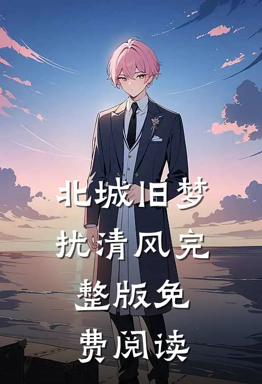 北城旧梦扰清风完整版免费阅读