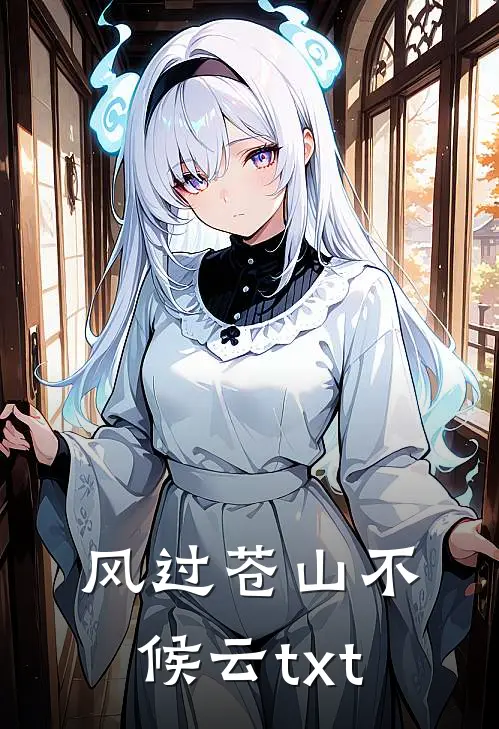 风过苍山不候云txt
