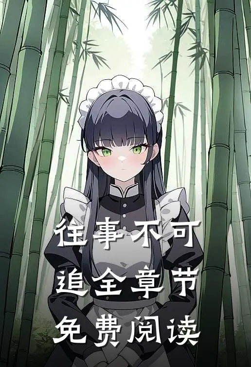 往事不可追全章节免费阅读
