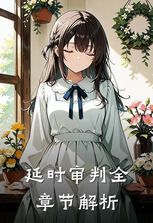 延时审判全章节解析