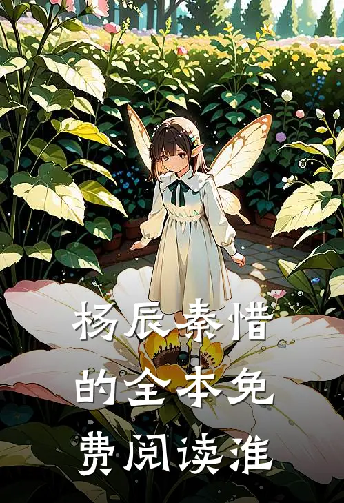 杨辰秦惜的全本免费阅读淮