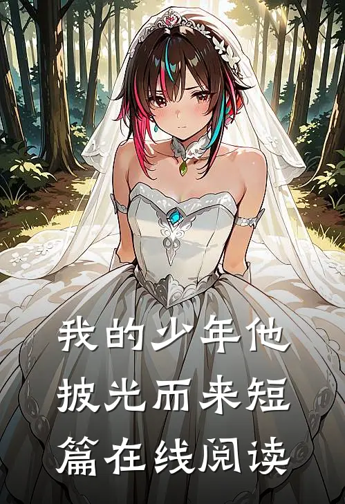 我的少年他披光而来短篇在线阅读