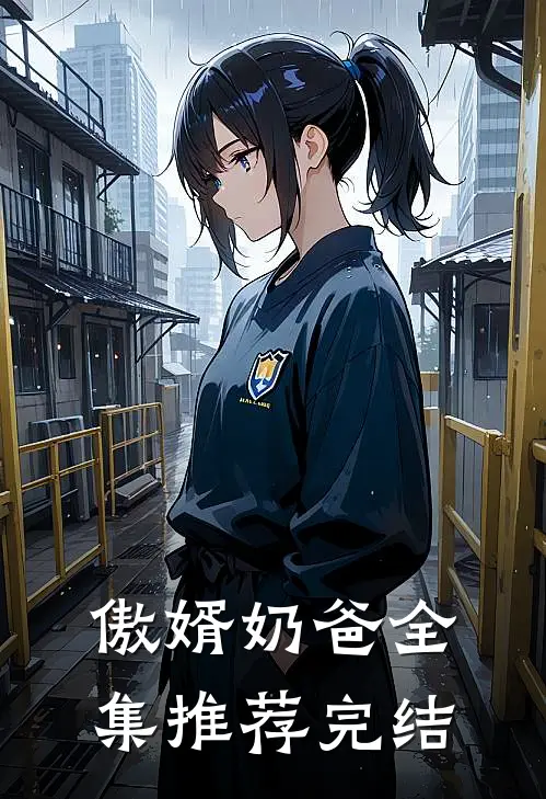傲婿奶爸全集推荐完结