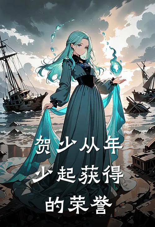 贺少从年少起获得的荣誉