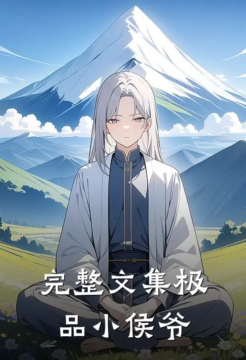 完整文集极品小侯爷