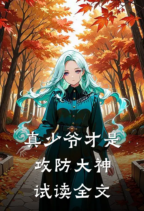 真少爷才是攻防大神试读全文
