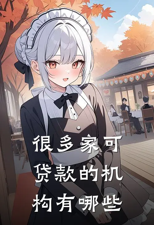 很多家可贷款的机构有哪些