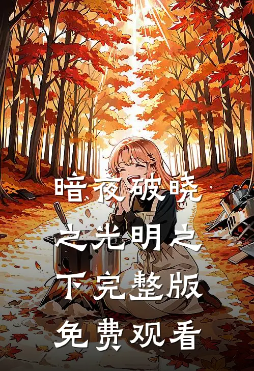 暗夜破晓之光明之下完整版免费观看