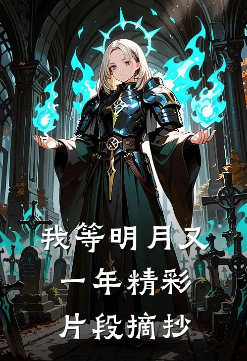 我等明月又一年精彩片段摘抄