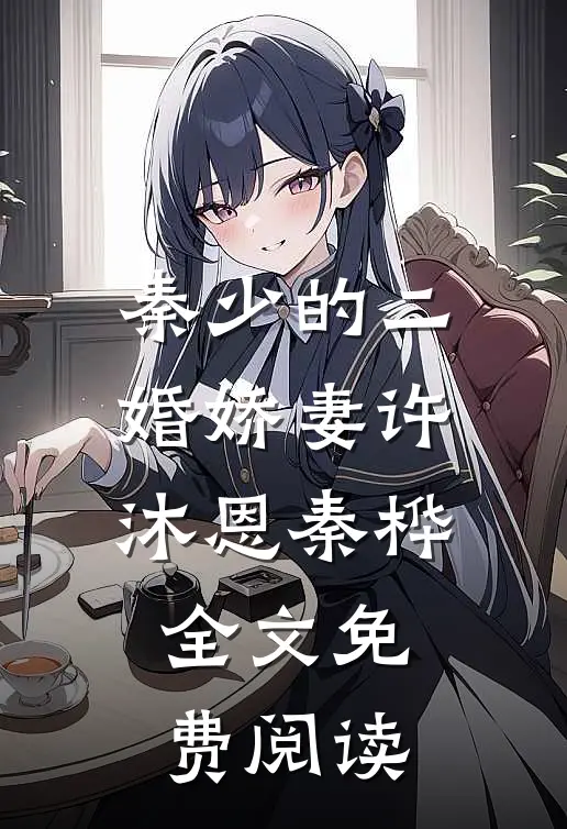 秦少的二婚娇妻许沐恩秦桦全文免费阅读
