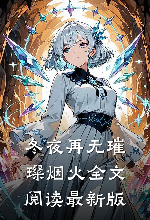 冬夜再无璀璨烟火全文阅读最新版