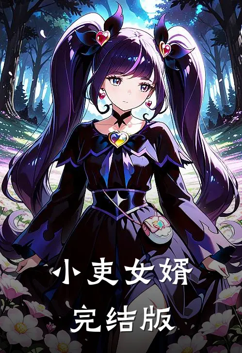 小吏女婿完结版