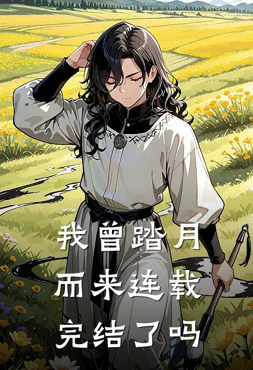 我曾踏月而来连载完结了吗
