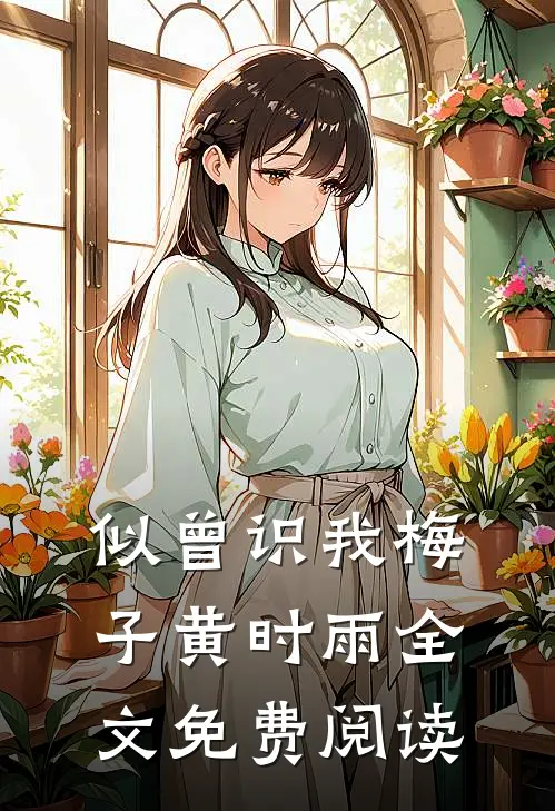 似曾识我梅子黄时雨全文免费阅读
