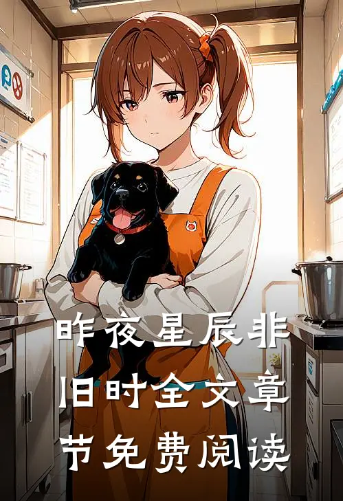 昨夜星辰非旧时全文章节免费阅读