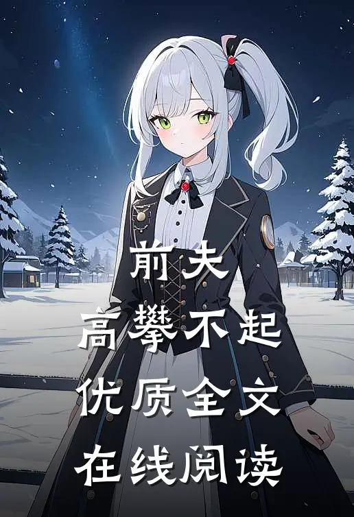 前夫,高攀不起 优质全文在线阅读